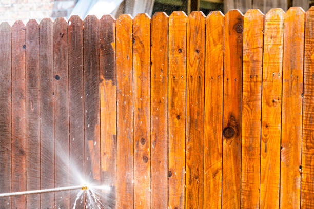 Pressure Washing in Naples, FL