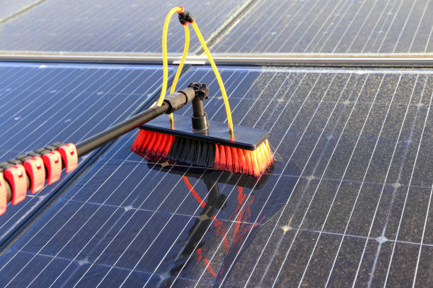 Solar Panel Cleaning in Naples, FL